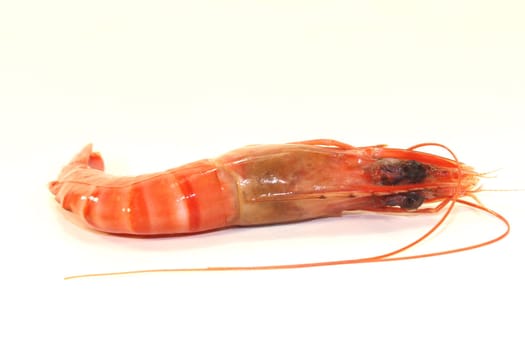 Black Tiger shrimp on white background