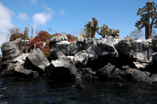Lava rock