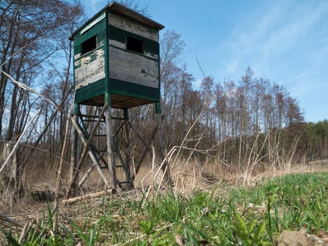 High seat on a clearing in on the island of Usedom on the Achterwasser from the frog's perspective