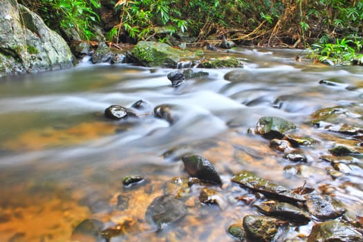 Tree and moss on stone in stream. Fresh spring air in the evening after rainy day, deep green color of fern and moss