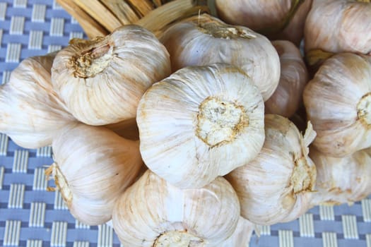 Bunch garlic isolated on background in kitchen