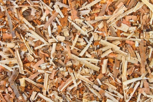 Background of wet sawdust after the chop off of a tree