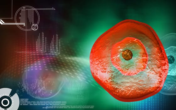 Digital illustration of ovum cell in colour background