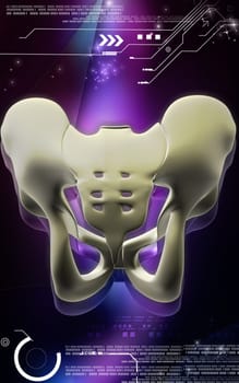 Digital illustration of pelvic girdle in colour background