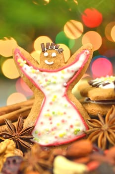 christmas spices, nuts, cookies and dried fruits on bokeh background