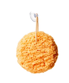 Sponge on a rope isolated on white background