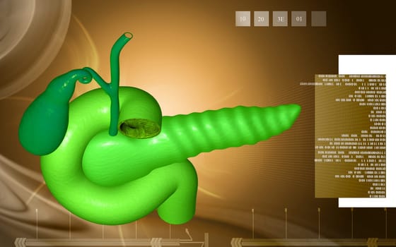 Digital illustration of pancreas in colour background