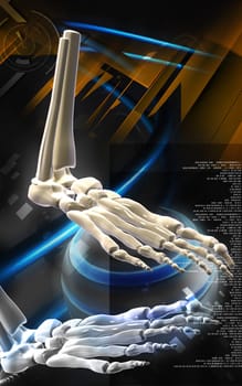 Digital illustration of Leg bone in colour background