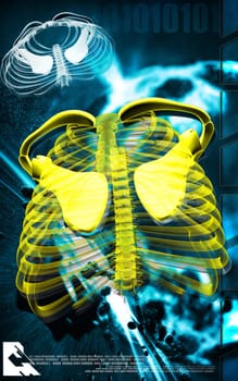 Digital illustration of rib cage in colour background