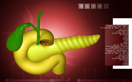 Digital illustration of pancreas in colour background