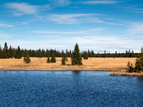 Dead pond is surrounded by woods approximately three kilometers northeast of Hrebecna. By the dark color of the water caused by the surrounding peat is sometimes called the Black Pond. The Ore Mountains, Czech republic.