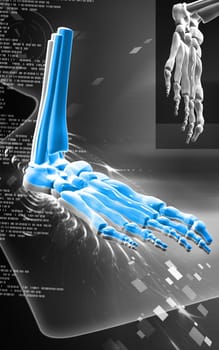 Digital illustration of Leg bone in colour background