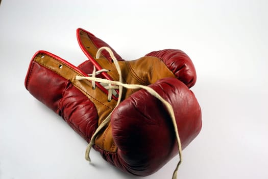 Study of a boxing glove