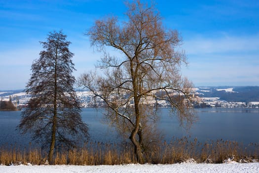 Winter at Lake Baldegger