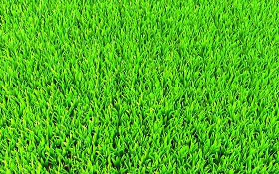 Green grass highly detailed. Useful as background and texture