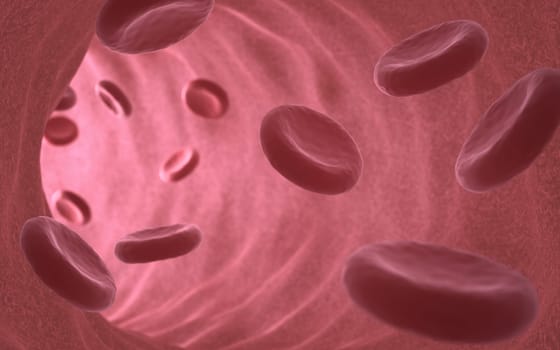 Cells from the bloodstream with clipping path included.