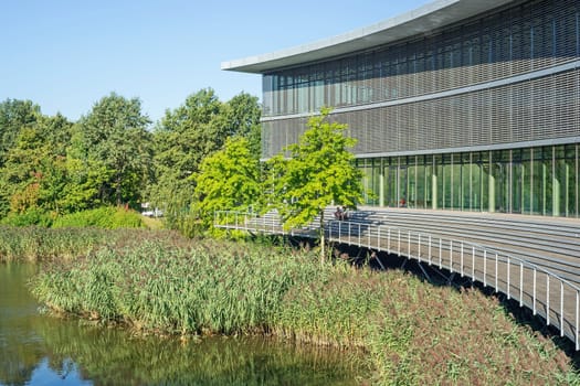 At the University of Düsseldorf in Germany