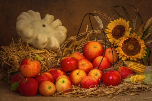 Harvest time