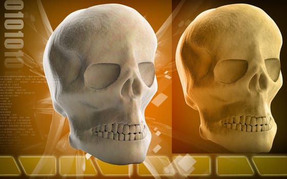 Digital illustration of Human skull in colour background