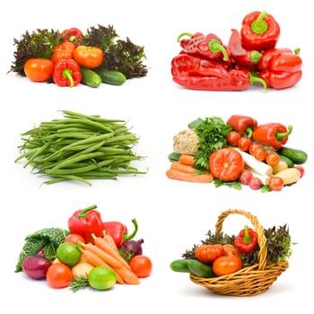fresh vegetables on white background - collage