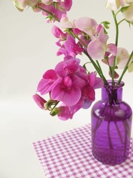 A bouquet of vetches in a vase