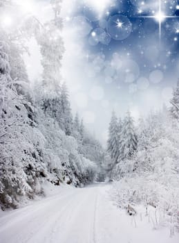Christmas background with snowy fir trees under the glistering sky