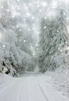 Christmas background with snowy fir trees under the glistering sky