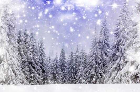 Christmas background with snowy fir trees and sky with stars