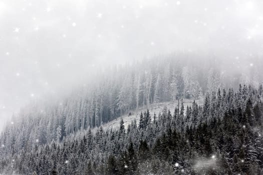 Christmas background with snowy fir trees