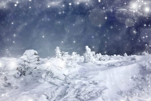 Christmas background with snowy fir trees and sky with stars