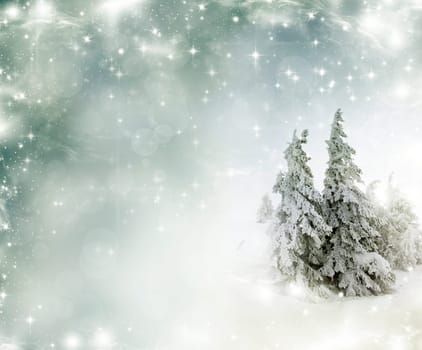 Christmas background with snowy fir trees and sky with stars