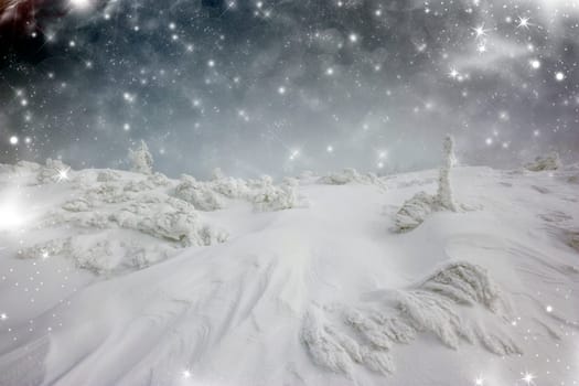 Christmas background with stars and snowy fir trees on the mountain