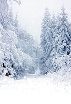 Christmas background with stars and footsteps in the snow