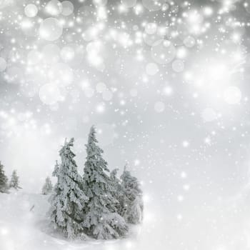 Christmas background with snowy fir trees