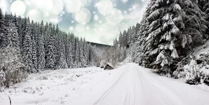 Christmas background with snowy fir trees and snow covered road