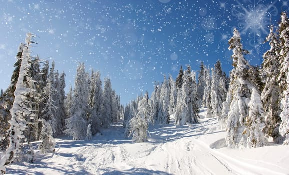 Christmas background with stars and footsteps in the snow
