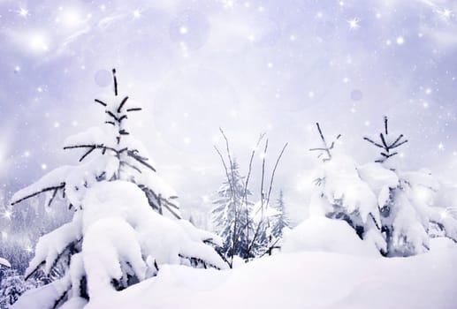 Christmas background with snowy fir trees and sky with stars