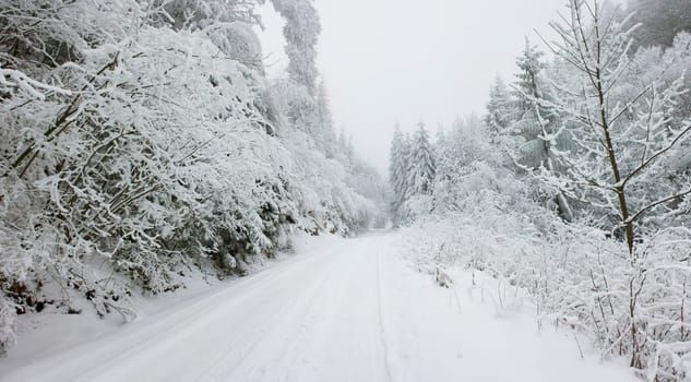 Christmas background snow covered road with snowy fir trees