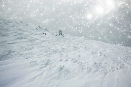 Christmas background with snowy fir trees