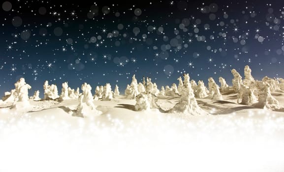 Pine trees cowered with snow in the snowfall