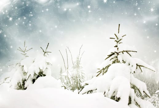 Christmas background with snowy fir trees and sky with stars