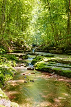 Beautiful nature scenery with the creek in summer forest in Central Kentucky
