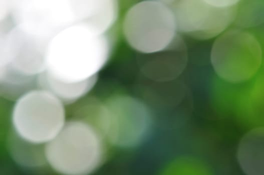 Light shining on tree leaves. Blurry reflections on sunny day abstract background.