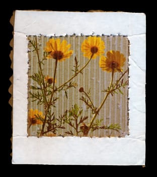Wild spring flowers on cardboard paper frame grunge background.