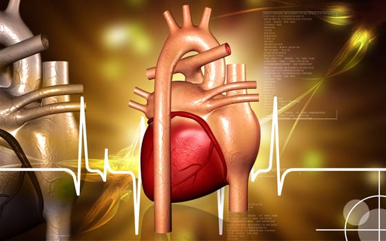 Digital illustration of heart in colour background