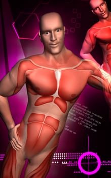 Digital illustration of human body in colour background