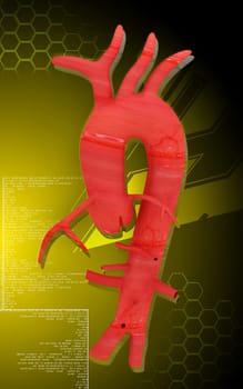 Digital illustration of Aorta in colour background