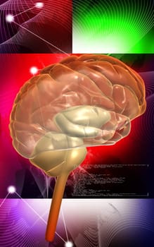 Digital illustration of brain in colour background