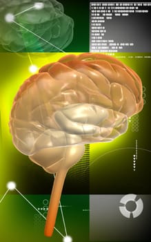Digital illustration of brain in colour background