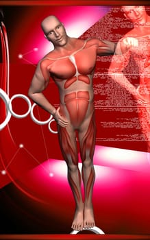 Digital illustration of human body in colour background